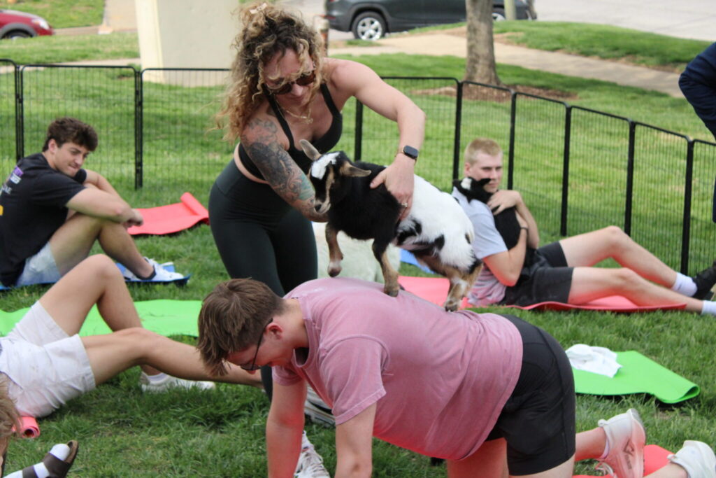 Goat Yoga for a Great Cause